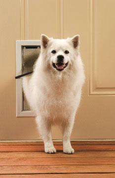 PetSafe Freedom Aluminum Pet Door