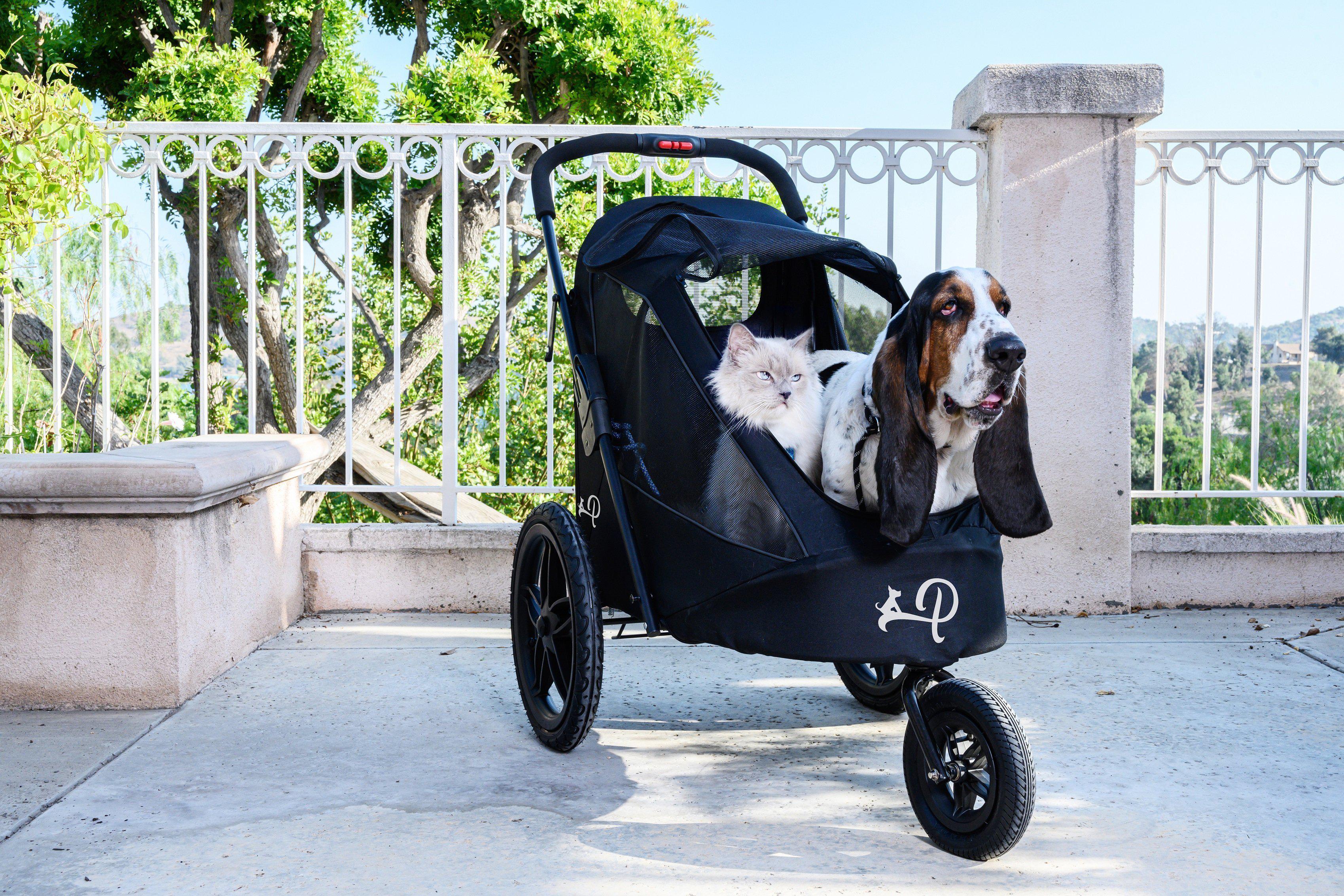 Petique Breeze Pet Jogger