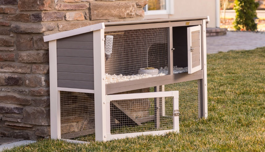 New Age Pet Columbia Rabbit Hutch