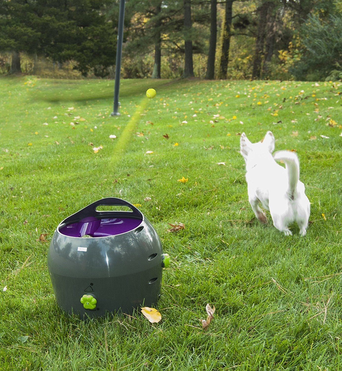 PetSafe Automatic Ball Launcher