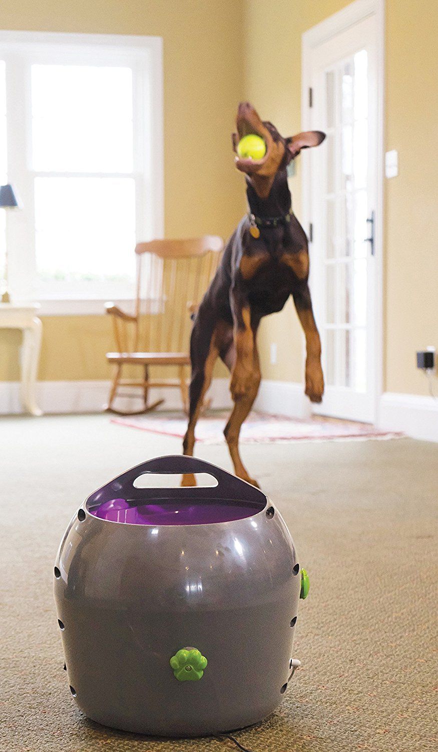 PetSafe Automatic Ball Launcher